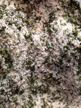 Load image into Gallery viewer, A Pound of Peg's